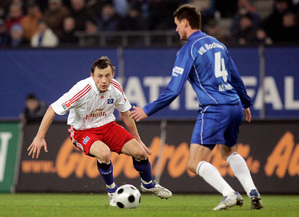 养与塑造 养与塑造